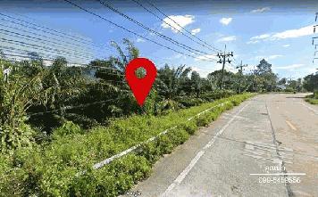 ขายที่ดินด่วน 599 ตรว. เกาะสมุย วิวสวย อำเภอเกาะสมุย สุราษฎร์ธานี น้ำตกหน้าเมือง 6 กม.